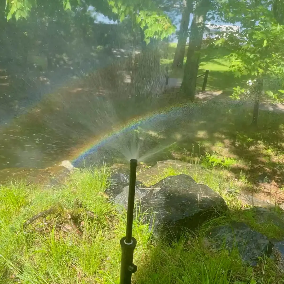 2022 - aj spray photo with rainbow