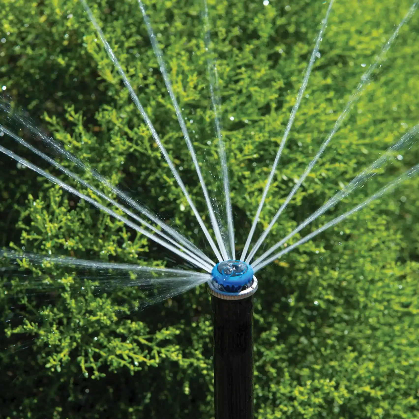 Minocqua, WI Full Service Sprinkler Companies